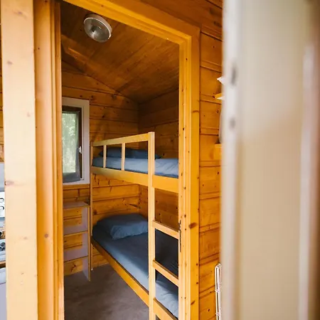 Serendipite 讷韦格利斯